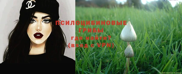 а пвп мука Белокуриха